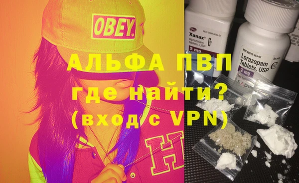 apvp Валдай
